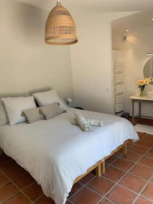 Vakantiehuis Mas De La Pivoine Villa Le Puy-Sainte-Réparade Frankrijk