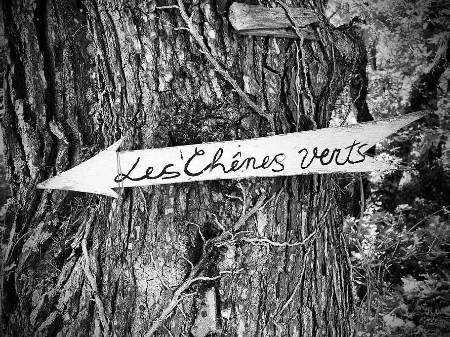 Le Puy-Sainte-Réparade Mas De La Pivoineヴィラ フランス