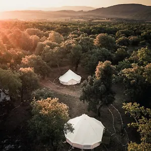  Luxe tent Lodg'ing Nature Camp Luberon